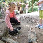 17.06.2025 r. – Klasa 1b – p. T. Kucala – Wycieczka do gospodarstwa agroturystycznego w Jeziorkowie 17.06.2025 r. – Klasa 1b – p. T. Kucala – Wycieczka do gospodarstwa agroturystycznego w Jeziorkowie